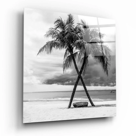 Stunning black white palm beach glass wall art print