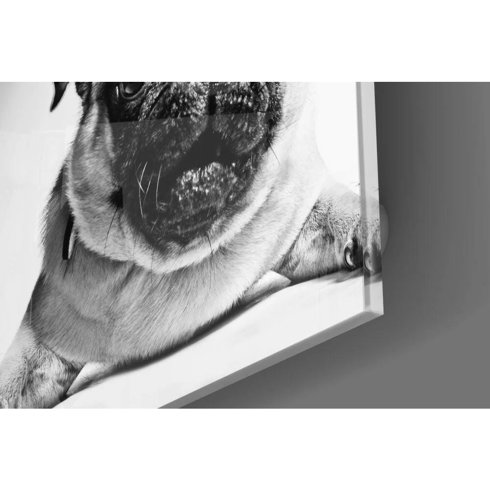Stunning black and white pug portrait wall art canvas print