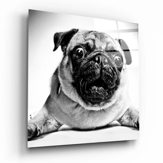 Black and white pug wall art canvas print on wood frame