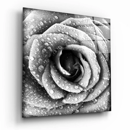 Stunning black and white rose glass wall art with water drops
