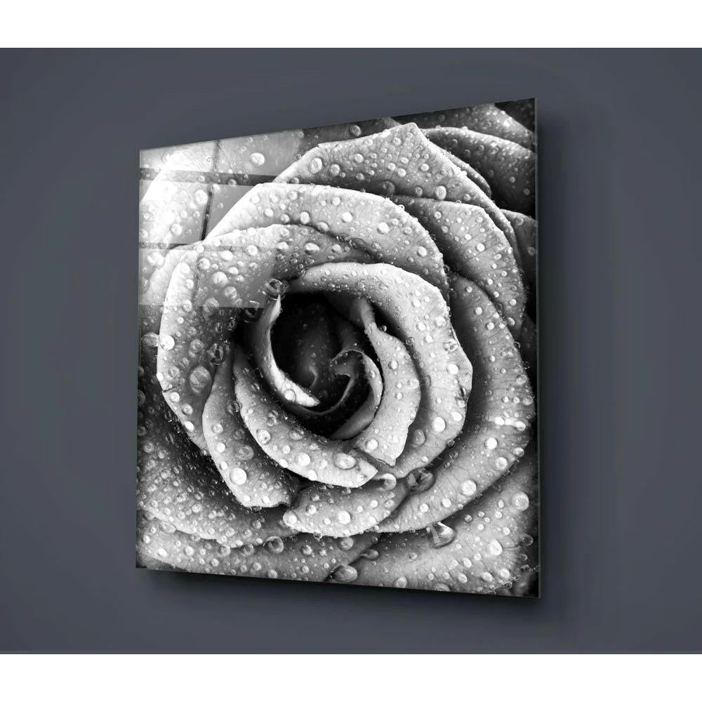 Stunning black and white rose glass wall art with water drops
