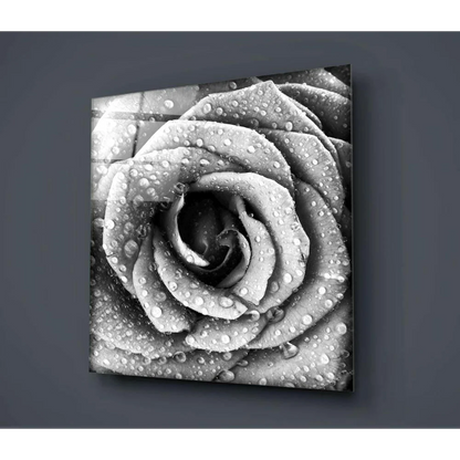 Stunning black and white rose glass wall art with water drops
