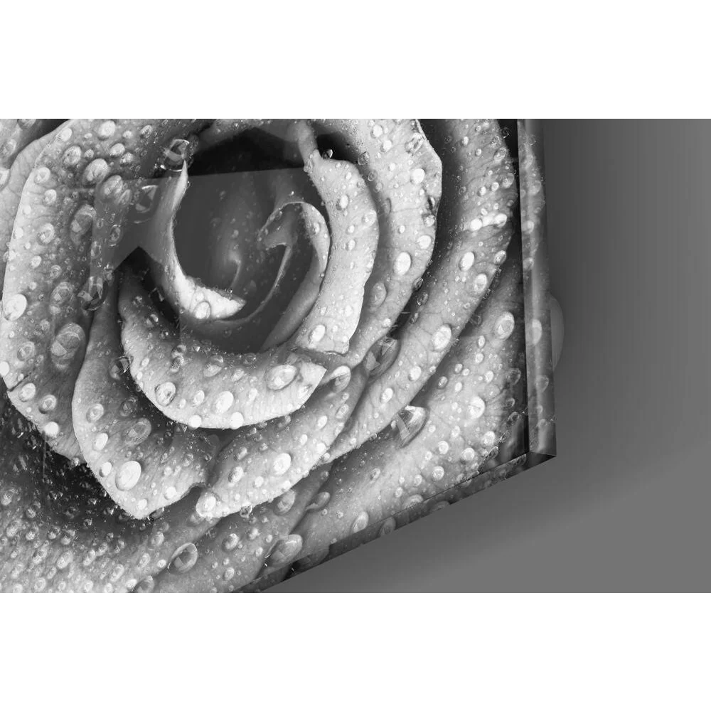 Stunning black and white rose glass wall art with water drops