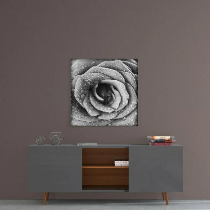 Stunning black and white rose glass wall art with water drops