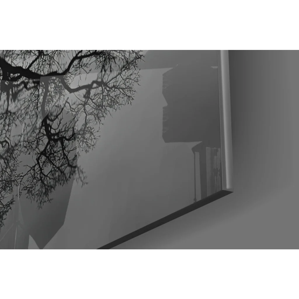 Stunning black white tree reflection canvas wall art print