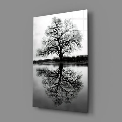Stunning black white tree reflection canvas wall art print