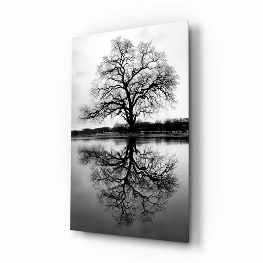 Black and white tree reflection canvas wall art print
