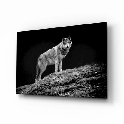Stunning black and white wolf glass wall art on textured canvas