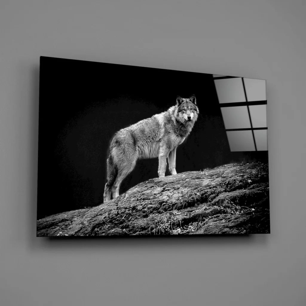 Stunning black and white wolf glass wall art canvas print on wall