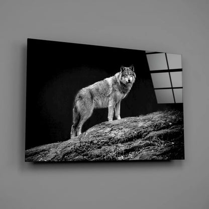 Stunning black and white wolf glass wall art canvas print on wall
