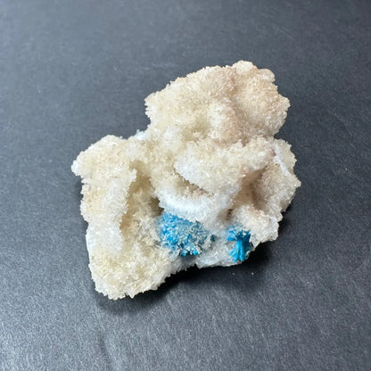 Stunning blue Cavansite balls on white Stilbite from India