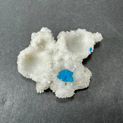 Stunning blue cavansite balls on white stilbite crystal from India