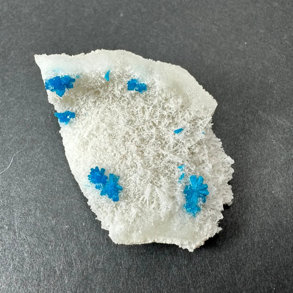 Stunning blue Cavansite balls on white Stilbite from India