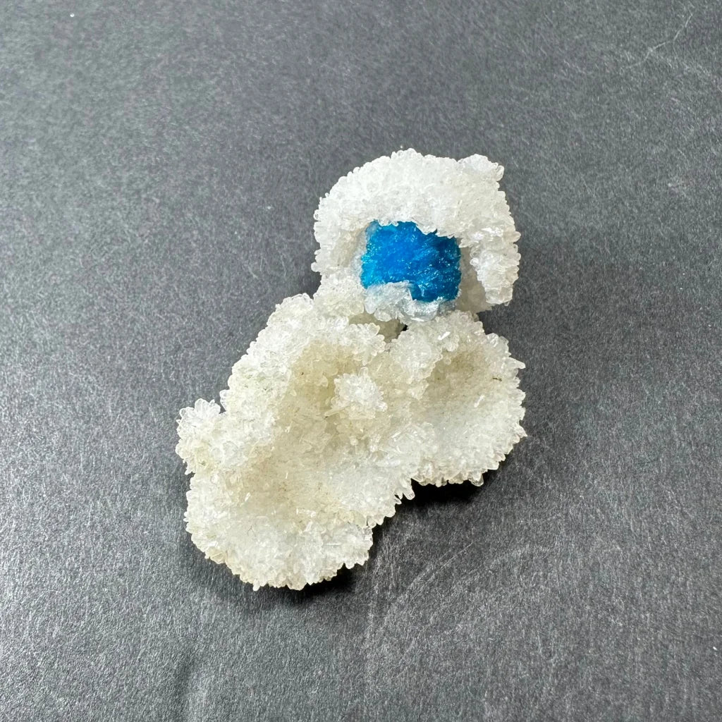 Stunning blue cavansite balls on white stilbite from India