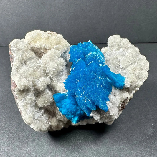 Vibrant blue cavansite crystal cluster from India on white rock
