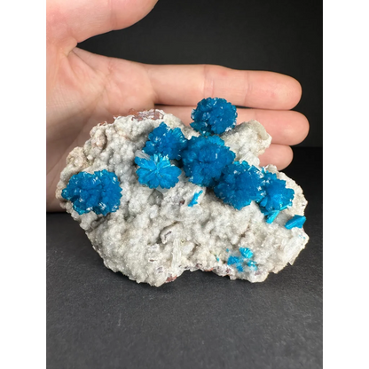 Vibrant blue copper sulfate crystals on white rock matrix from India