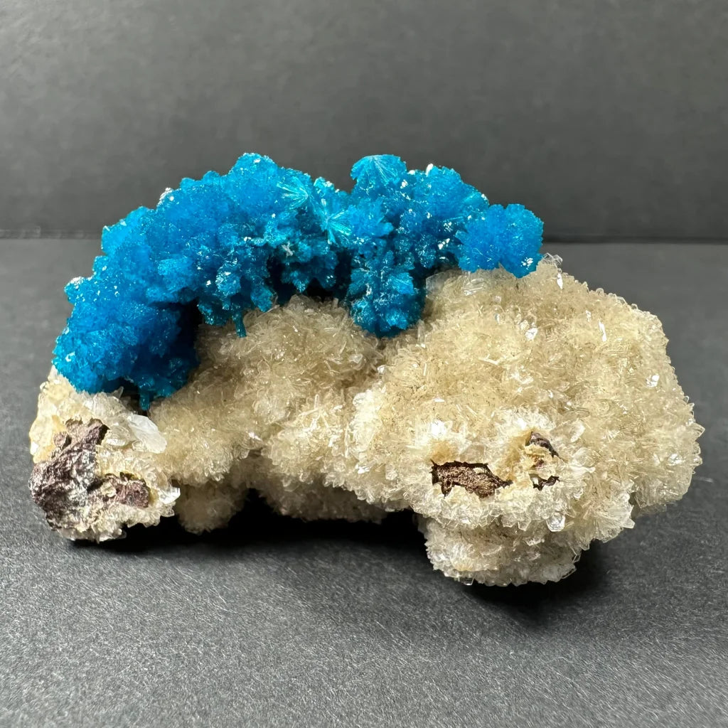 Stunning blue cavansite crystal cluster from India with translucent white minerals