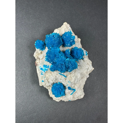 Vibrant blue cavansite crystal cluster on off-white rock from India