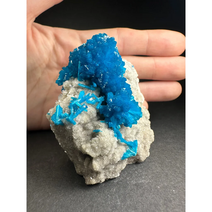 Vibrant blue Cavansite crystal cluster on gray rock from India