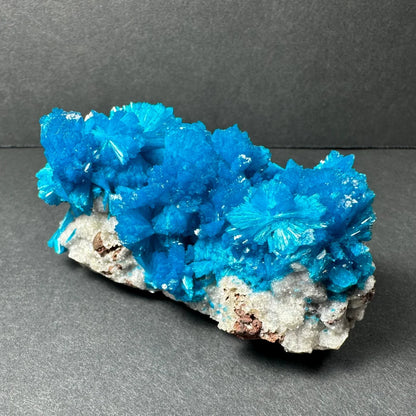 Stunning blue cavansite crystal cluster on gray matrix from India