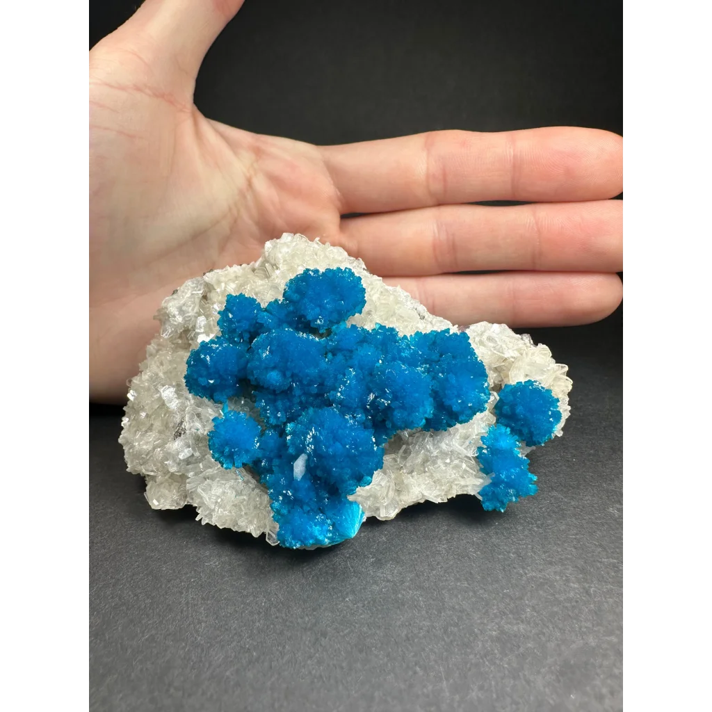 Vibrant blue cavansite crystal cluster on white matrix from India