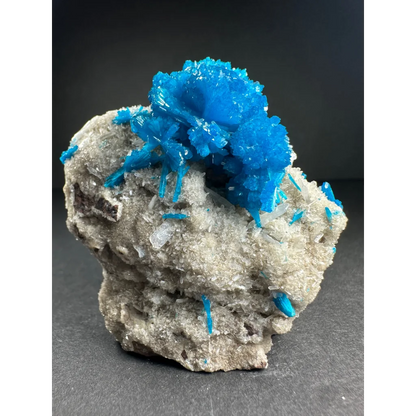 Vibrant blue cavansite crystal cluster on gray rock matrix from India