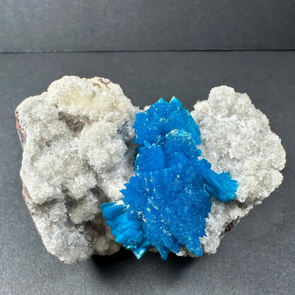 Vibrant blue cavansite crystals on white matrix from India
