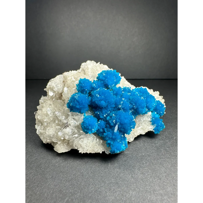 Vibrant blue copper sulfate crystals on white quartz cluster from India