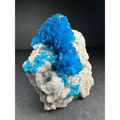 Vibrant blue cavansite crystal cluster on gray rock matrix from India