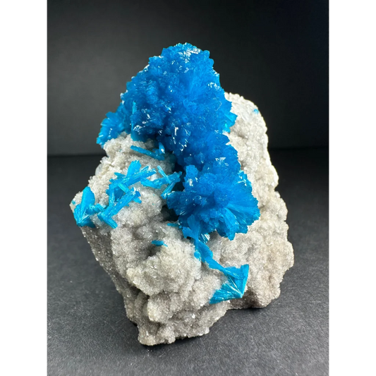 Vibrant blue cavansite crystal cluster on gray rock matrix from India