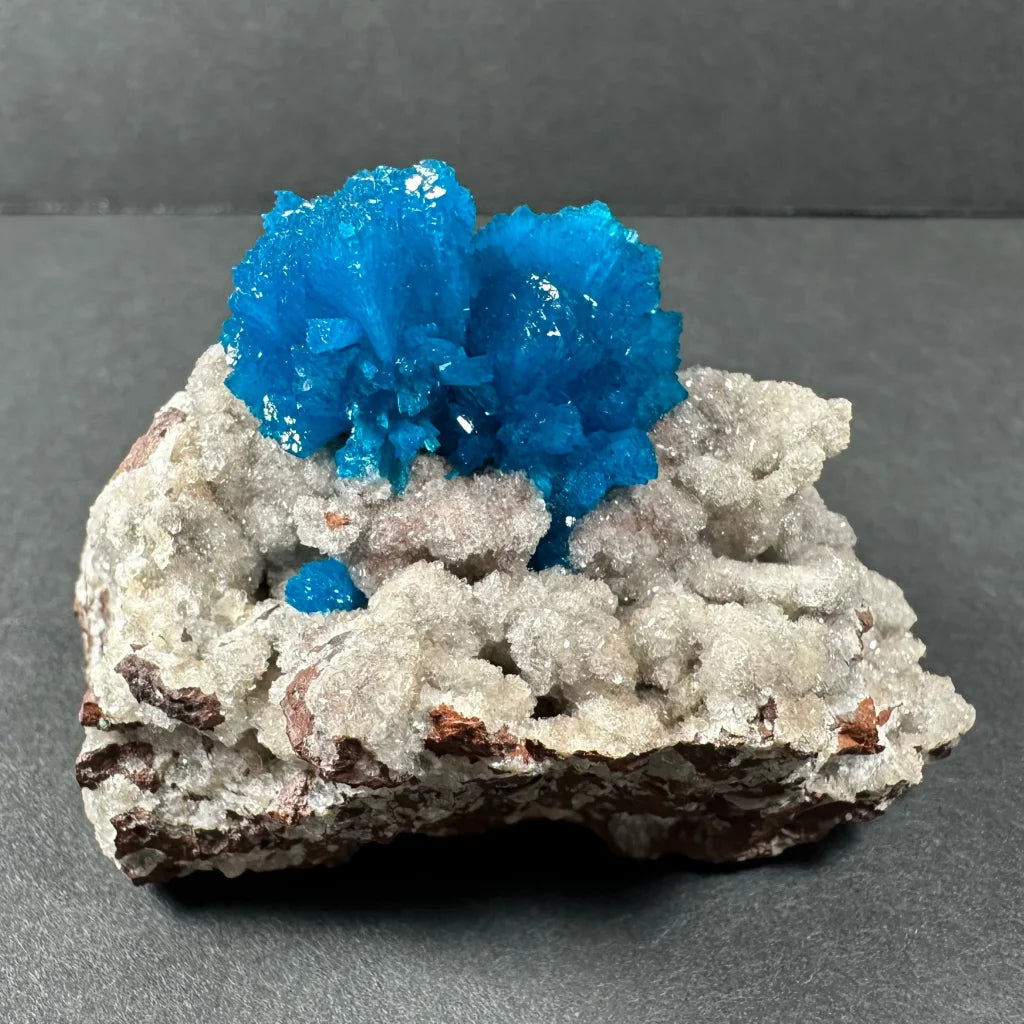 Vibrant blue cavansite crystal cluster from India in gray rock matrix