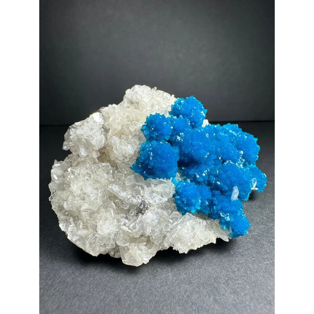 Vibrant blue copper sulfate crystals on white quartz, stunning Cavansite cluster from India