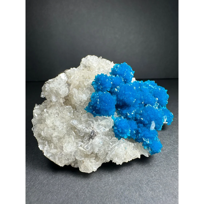 Vibrant blue copper sulfate crystals on white quartz, stunning Cavansite cluster from India