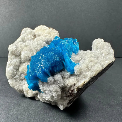 Stunning blue Cavansite crystal cluster from India in white matrix