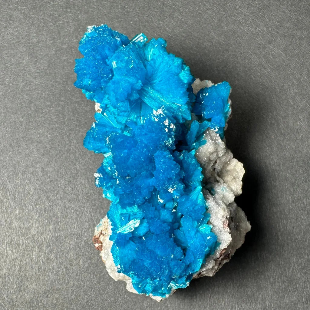 Vibrant blue Cavansite crystal cluster from India on gray matrix