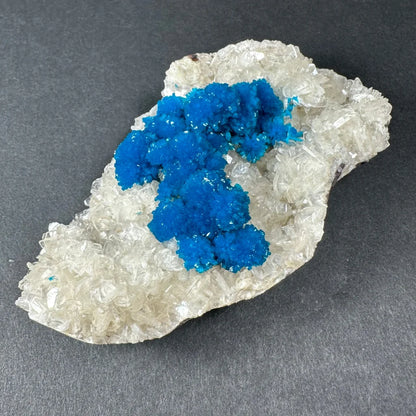 Vibrant blue cavansite crystals on quartz from Pune India