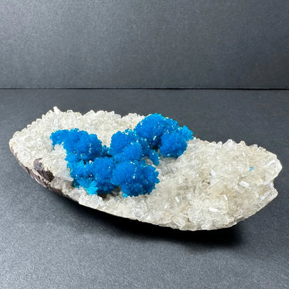 Vibrant blue copper sulfate crystals in quartz geode cluster from Pune, India