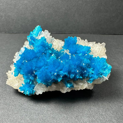 Stunning blue Cavansite crystal flower specimen from India