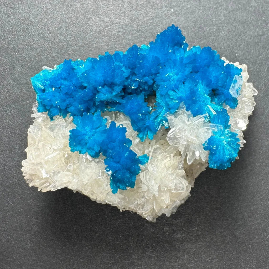 Vibrant blue copper sulfate crystals on white quartz, India cavansite flower