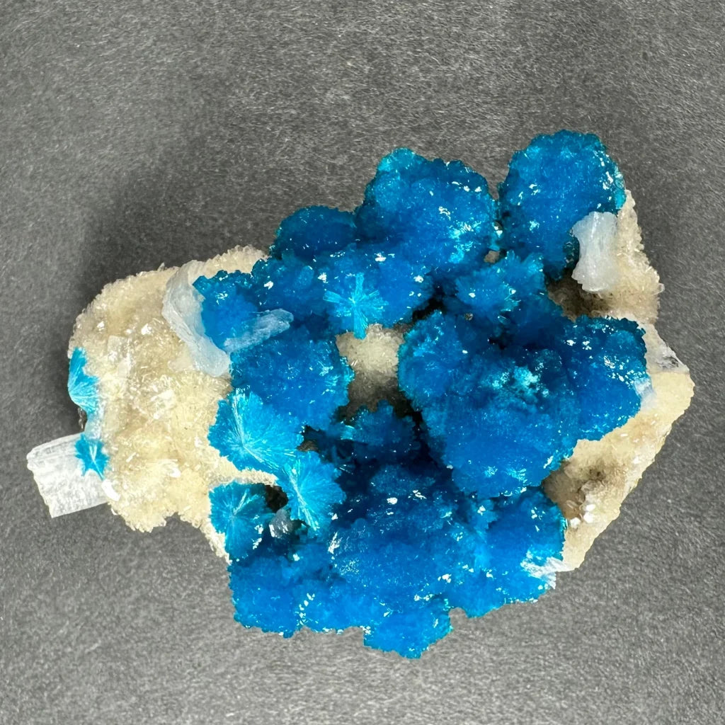 Vibrant blue cavansite crystals on white stilbite cluster