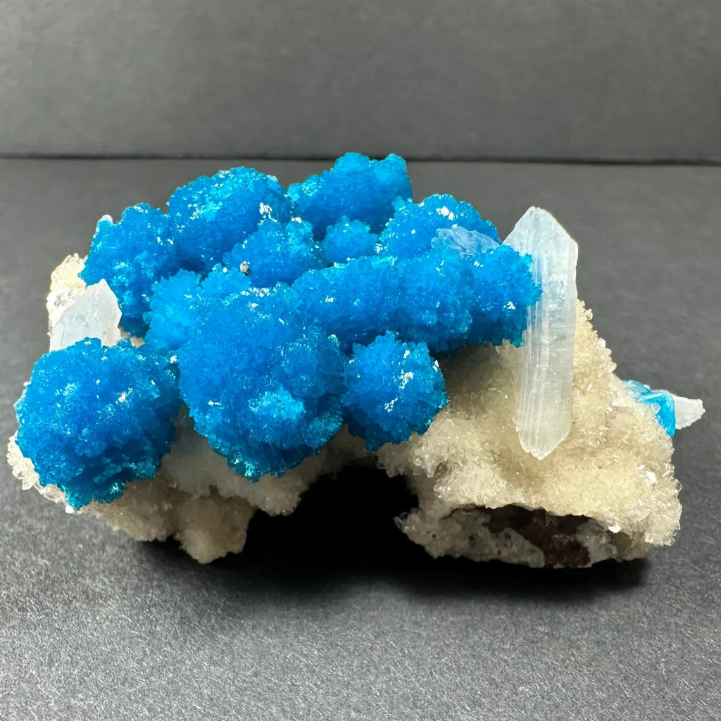Stunning blue cavansite on white stilbite crystal cluster