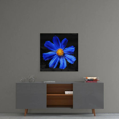 Vibrant blue cosmos glass wall art with golden center on black background