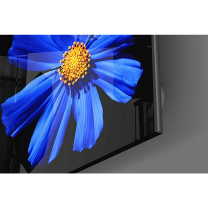 Vibrant blue cosmos glass wall art with golden center on TV