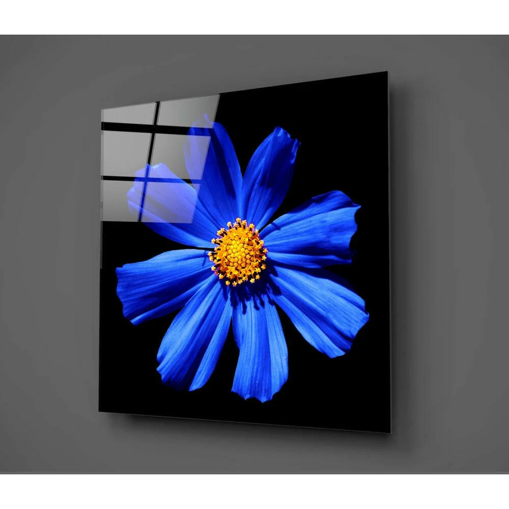 Vibrant blue cosmos glass wall art with golden center on black glass