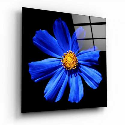 Vibrant blue cosmos glass wall art with golden center on glossy black panel