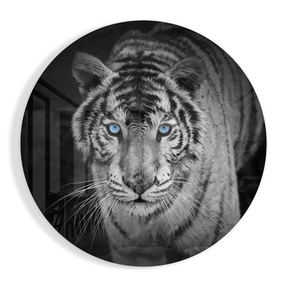 Black and white tiger with blue eyes on stunning tempered glass art