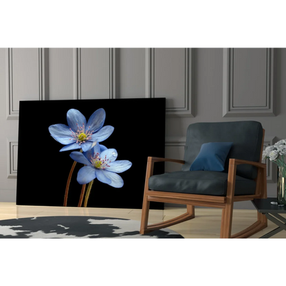 Stunning blue flower canvas wall art on black background