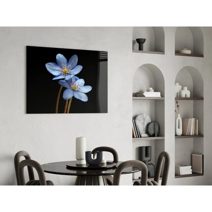 Stunning blue flower canvas wall art with black background and white center