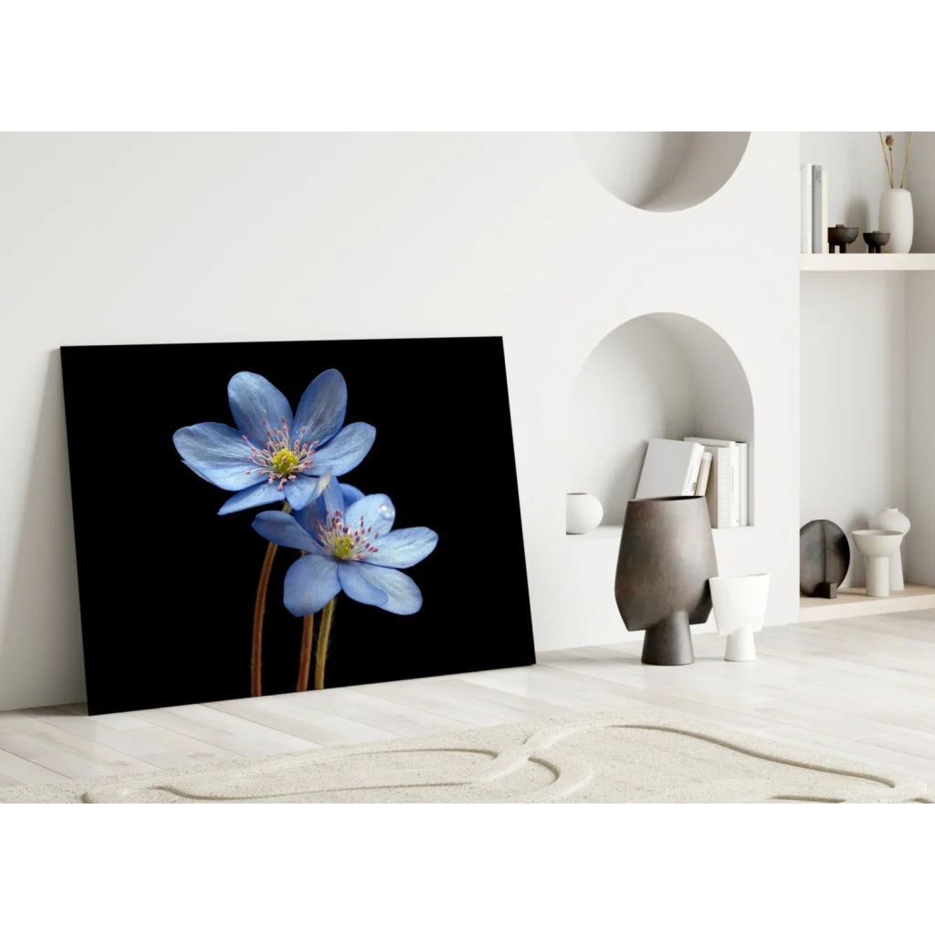 Stunning blue flower canvas wall art on bold black background