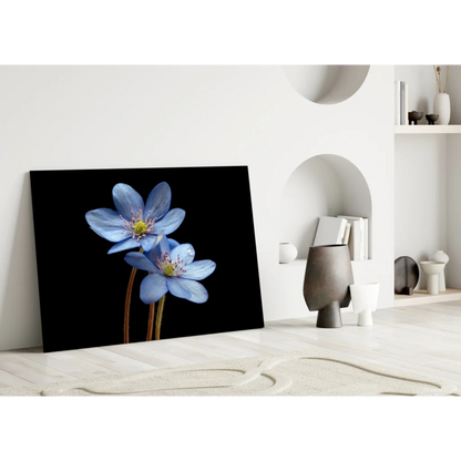 Stunning blue flower canvas wall art on bold black background